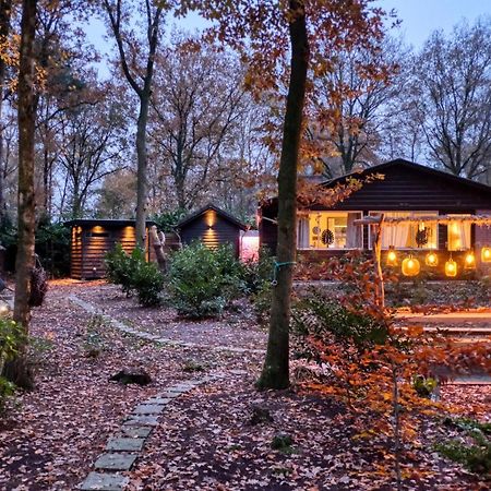 Lodge In Een Bosrijke Omgeving Met Hottub & Sauna Opt Rheezerveen Exterior foto